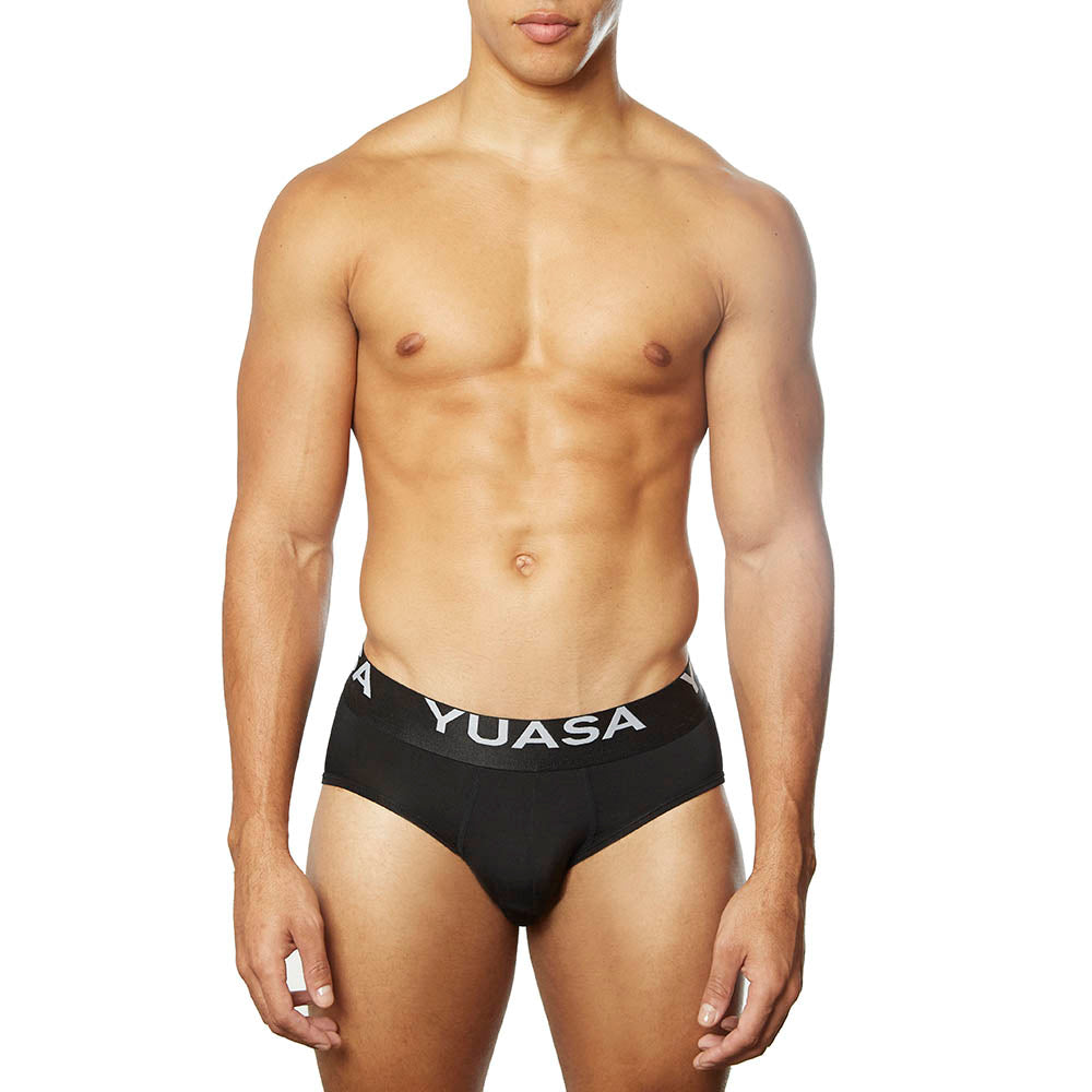 Regular Rise Brief Underwear for Men