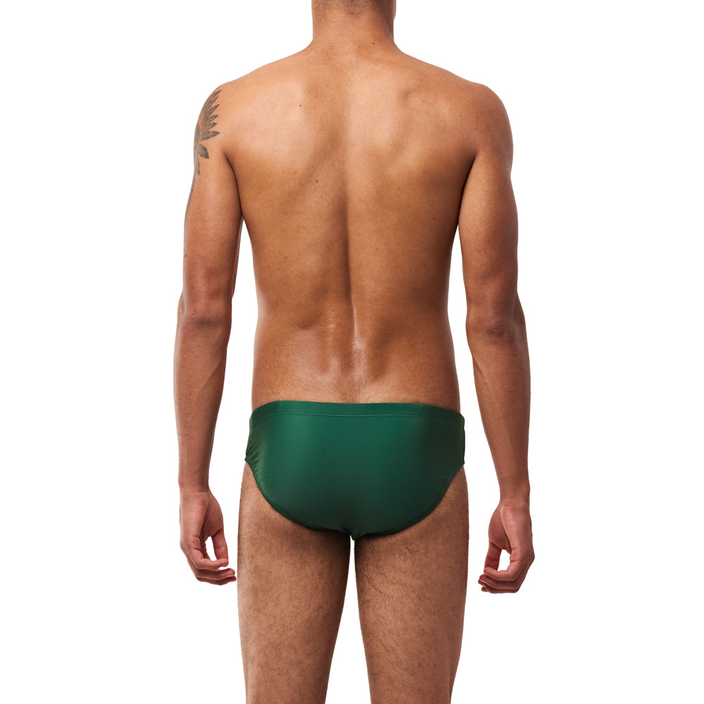 Classic Swim Brief - Spruce Green